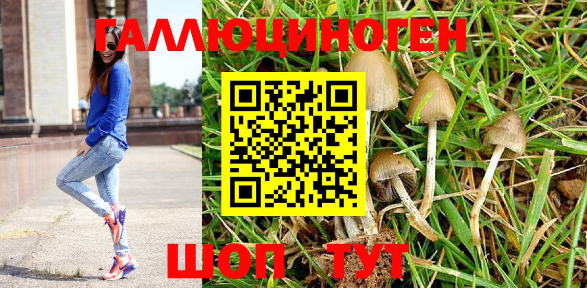 Псилоцибиновые грибы ЛСД Новоуральск